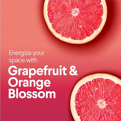 Buy now Clorox Scentiva Disinfecting Wipes, Grapefruit and Orange Blossom, 75 Ct., Pack of 3 (Pack May vary) at indiglob india