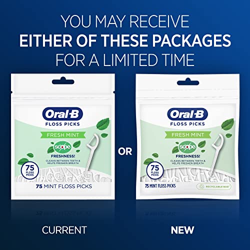 Buy now Oral-B Burst of Scope Dental Floss Picks, Fresh Mint, 75 Count Each, Pack of 6 (450 Count Total) at indiglob india