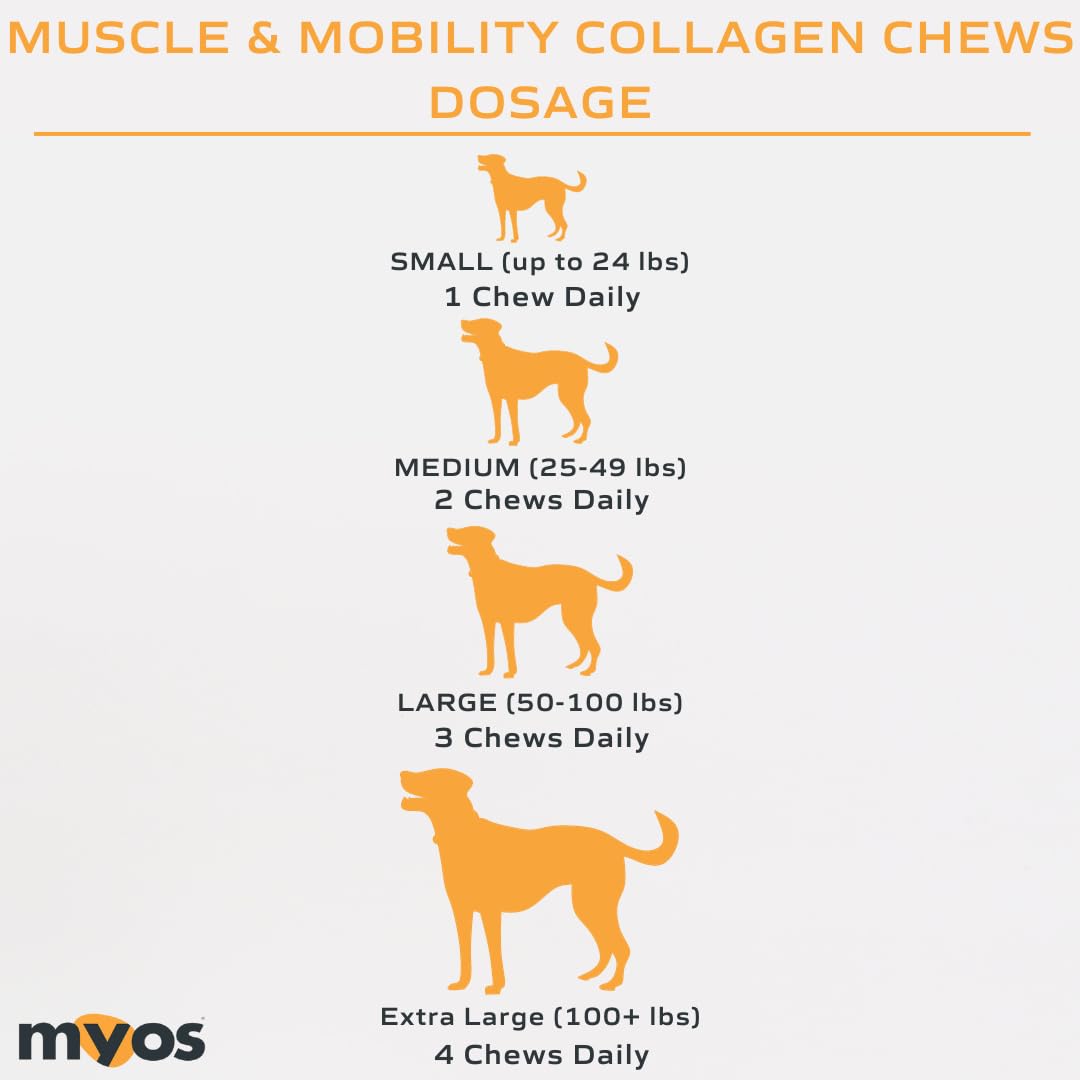 MYOS Canine Muscle & Mobility Chews - Dog Joint Supplement - 60 Count