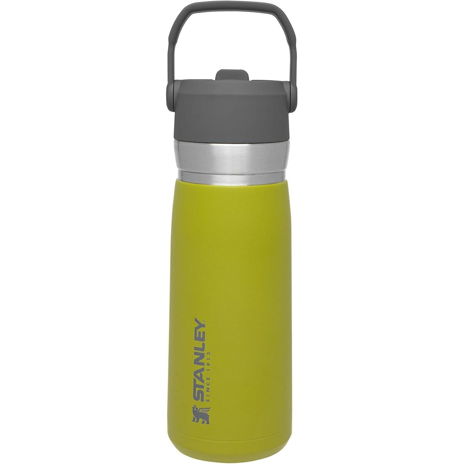 Buy now Stanley IceFlow Flip Straw Water Bottle 22 oz | Built-In Straw for Travel and Sports | Lightweight and Leak Resistant | Insulated Stainless Steel | BPA-Free | Polar 22OZ Aloe (1.0) 22 Oz at indiglob india