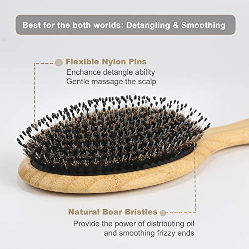 Buy now BESTOOL Hair Brush (Regular & Small), Boar Bristle Hair Brushes for Women Men Kids Thick Fine Curly Hair, Hairbrush for Detangling, Soften & Silky Shine at indiglob india