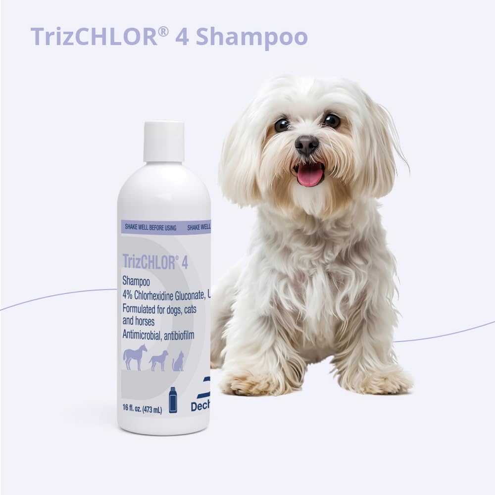 4 Shampoo for Dogs, Cats and Horses, 16 Ounce