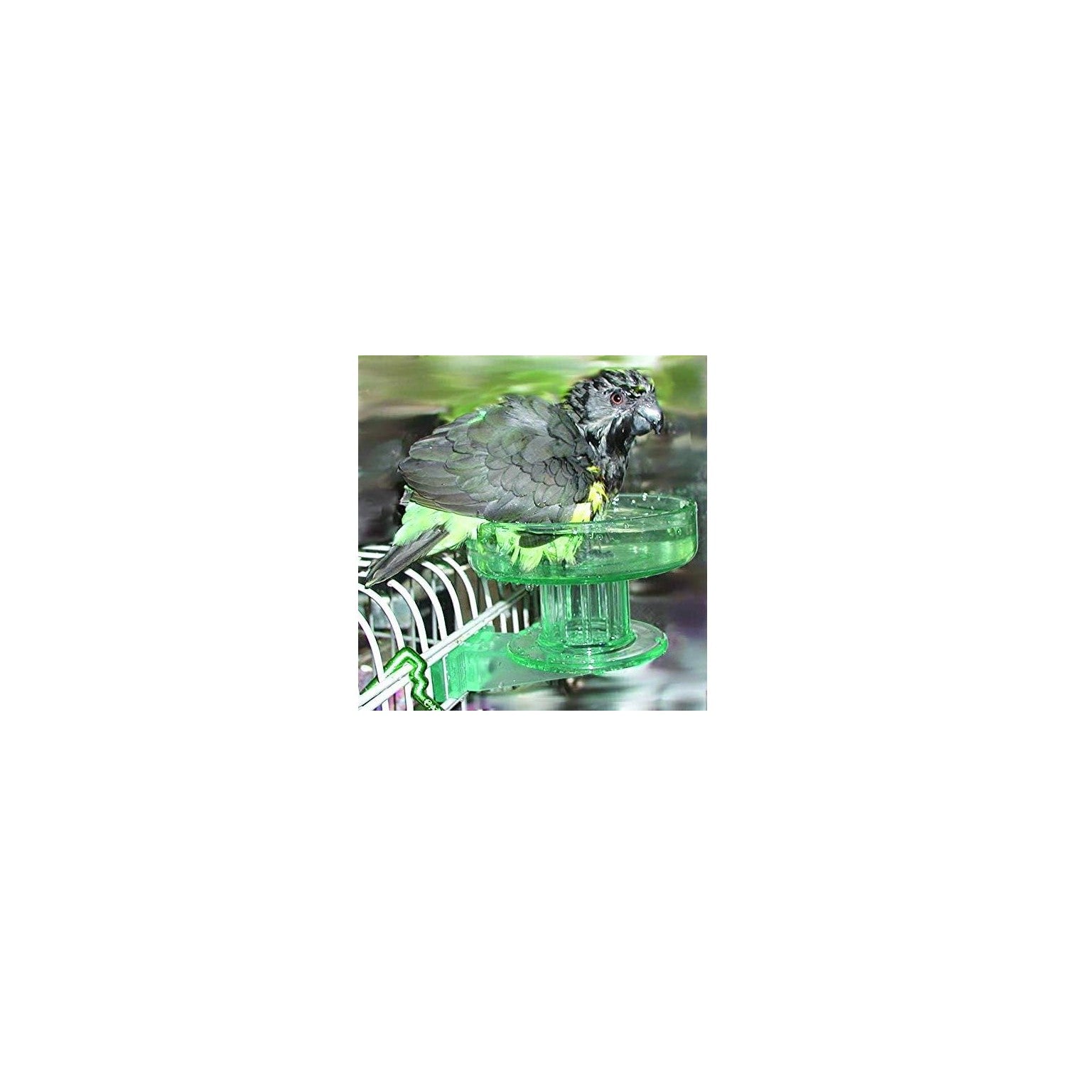 Buy now Lixit Quick Lock Bird Cage Bath for Lovebirds, Canaries, Finches, Parakeets, and Cockatiels and Other Small to Medium Feathered Friends (Pack of 1) at indiglob india