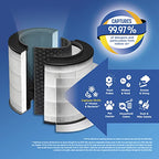 Buy now Clorox Medium Room Air Purifier True HEPA Replacement Filter, 1,000 Sq. Ft. Capacity, Removes 99.97% of Allergens up to 0.1 Micron, Compatible with 11030 & 11031, 1 Count (12030) at indiglob india