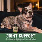Buy now NOW Pet Health, Joint Support Supplement, Formulated for Cats & Dogs, NASC Certified, 90 Chewable Tablets at indiglob india
