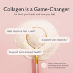 Alaya Multi Collagen Powder - Type I, II, III, V, X Hydrolyzed Collagen Peptides Protein Powder Supplement with MSM + GC (Unflavored) - NSF Certified - (40 Servings)