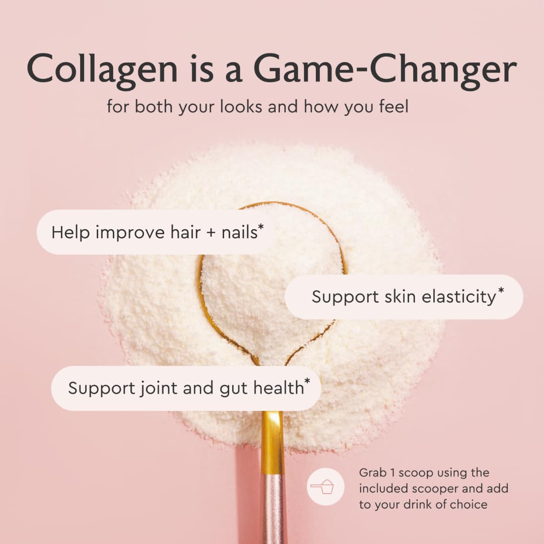 Alaya Multi Collagen Powder - Type I, II, III, V, X Hydrolyzed Collagen Peptides Protein Powder Supplement with MSM + GC (Unflavored) - NSF Certified - (40 Servings)