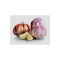 Garlic Bulb (6 Pack), Fresh Siberian HARDNECK Garlic Bulb for Planting and Growing Your OWN Garlic OR Eating