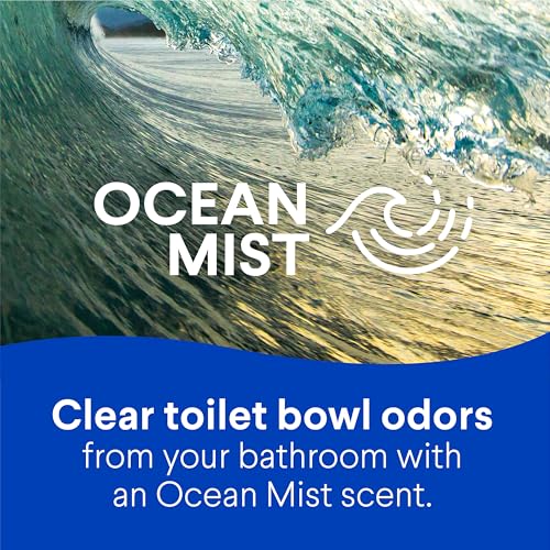 Buy now Clorox Toilet Bowl Cleaner Heavy Duty Stain and Ring Remover, Arctic Clean, 24 Fl Oz., Pack of 2 at indiglob india