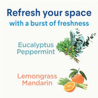 Buy now Clorox Disinfecting Mist, Lemongrass Mandarin, Household Essentials, 3 Refills, 16 Fl Oz Each at indiglob india