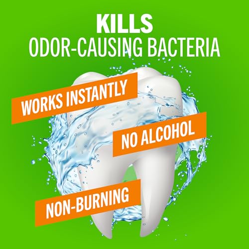 Buy now TheraBreath Fresh Breath Mouthwash, Mild Mint Flavor, Alcohol-Free, 16 Fl Oz (2-Pack) at indiglob india