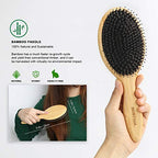 Buy now BESTOOL Hair Brush (Regular & Small), Boar Bristle Hair Brushes for Women Men Kids Thick Fine Curly Hair, Hairbrush for Detangling, Soften & Silky Shine at indiglob india
