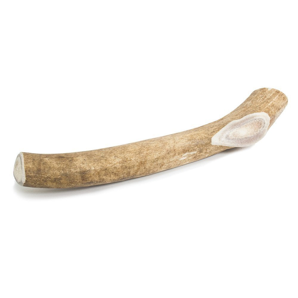Prairie Dog Pet Products Deer Large Antler Treat, 8-9"