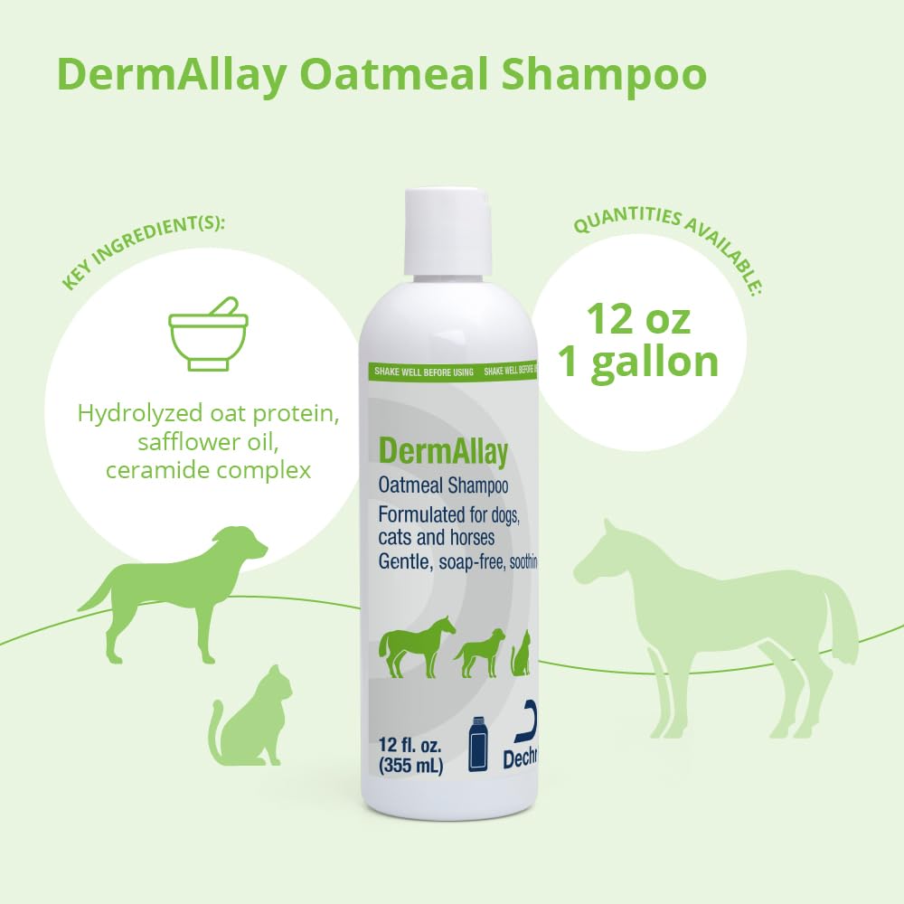 DermAllay Oatmeal Shampoo for Dogs, Cats and Horses, 12 Fl Oz