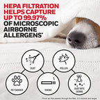 Buy now Honeywell HEPA Air Purifier Filter Kit – Includes 1 HEPA R Replacement Filter and 4 A Carbon Pre-Cut Pre-Filters – Airborne Allergen Air Filter Targets Wildfire/Smoke, Pollen, Pet Dander, and Dust at indiglob india