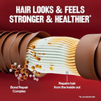 Buy now Revlon ColorSilk with Bond Repair Complex, Permanent Hair Color, 100% Gray Coverage, Ammonia Free Dye, Vegan Keratin, 45 Bright Auburn, 3 pack at indiglob india