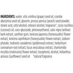 Buy now Burt's Bees Deep Cleansing Pore Scrub with Peach and Willow Bark, 4 Ounces, Pack of 3 at indiglob india