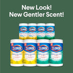 Buy now Clorox Disinfecting Cleaning Wipes Variety Pack, 75 Count Each, Pack of 4 (Package May Vary) at indiglob india