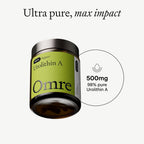 OMRE - Urolithin A 500mg, 98% Purity - Support for Healthy Aging and Cellular Renewal - Mitochondrial and Ceullular Energy Support for Longevity - 30 Servings