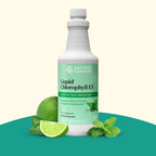 Nature's Sunshine Liquid Chlorophyll - Immunity Support, Detox & Cleanse, Chlorophyll Liquid Drops with Spearmint Oil, Natural Energy Boost, Internal Deodorant - 16 Fl Oz