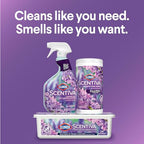 Buy now Clorox Scentiva Disinfecting Multi-Surface Cleaner, Lavender and Jasmine, 32 Fl Oz (Pack May Vary) at indiglob india
