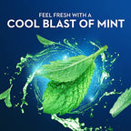 Buy now Oral-B Burst of Scope Dental Floss Picks, Fresh Mint, 75 Count Each, Pack of 6 (450 Count Total) at indiglob india