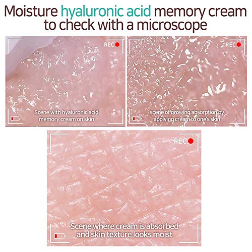 Buy now Elizavecca Moisture Hyaluronic Acid Memory Cream 100 g at indiglob india