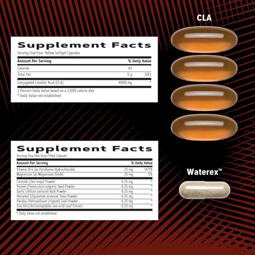 Buy now GNC AMP MenÆ’??s Ripped Vitapak Program, 4 in 1 Product Vitamin Pack, Metabolism & Lean Muscle Tone, Burn Calories, Water Shedding, Adult Multivitamin, Caffeine, CLA, Proven Ingredients, 30-Day Supply at indiglob india