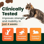 Buy now VetriScience Healthy Hip & Joint Chews, GlycoFlex Glucosamine and Green-Lipped Mussel Joint Support Supplement for Cats, Promote Mobility and Protect Joints, Chicken, 60 Count at indiglob india