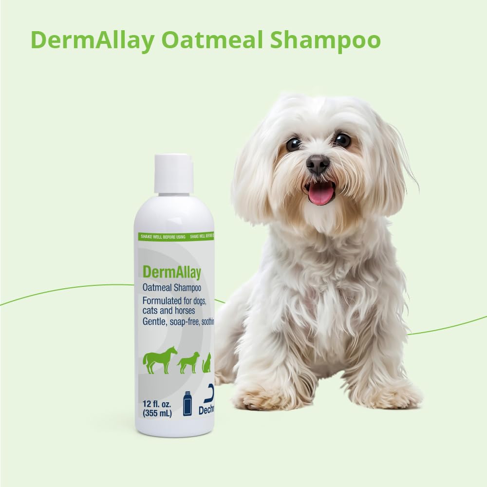 DermAllay Oatmeal Shampoo for Dogs, Cats and Horses, 12 Fl Oz