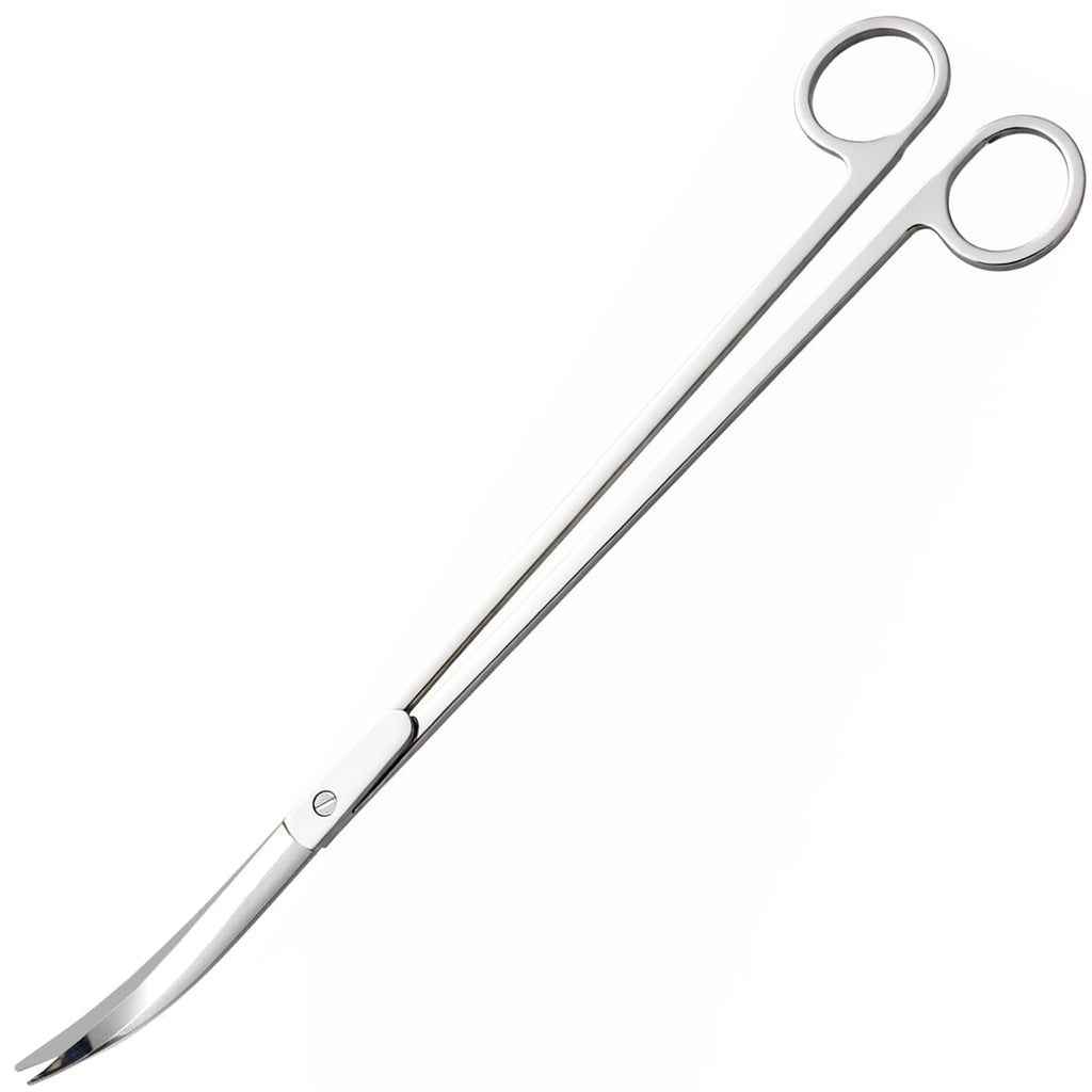 12" Stainless Steel Aquarium Scissors, Curved Long Aquatic Plant Trimming Scissors for Aquascaping, Fish Tank & Terrarium Maintenance in Fresh & Salt Water (Silver)