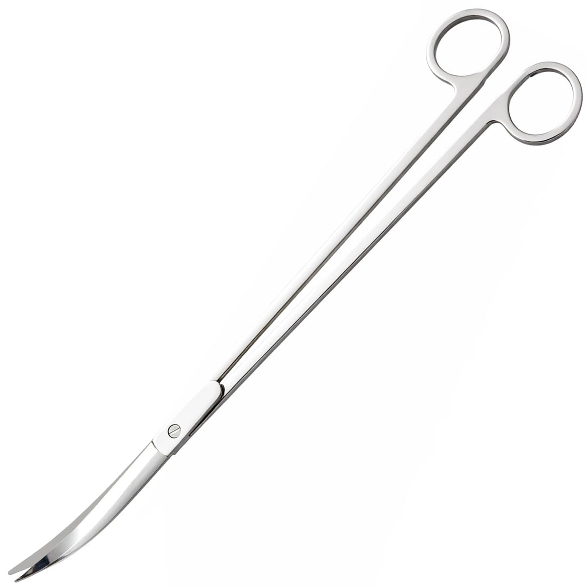 12" Stainless Steel Aquarium Scissors, Curved Long Aquatic Plant Trimming Scissors for Aquascaping, Fish Tank & Terrarium Maintenance in Fresh & Salt Water (Silver)