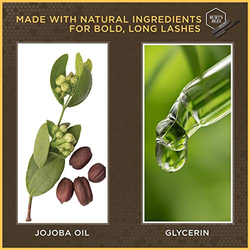 Buy now Burtâ€™s Bees 100% Natural Nourishing Mascara, Classic Black - 0.4 Ounce at indiglob india