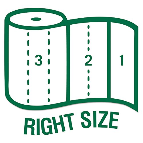 Buy now Seventh Generation 13739PK 100% Recycled Paper Towel Rolls, 2-Ply, 156 /RL, 8 RL/PK at indiglob india