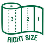 Buy now Seventh Generation 13739PK 100% Recycled Paper Towel Rolls, 2-Ply, 156 /RL, 8 RL/PK at indiglob india
