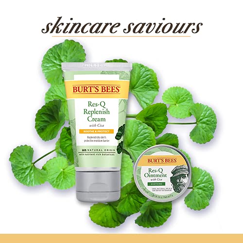 Buy now Burt's Bees 100% Natural Origin Multipurpose Res-Q Ointment with Cica, 15g, 15 g (Pack of 1) at indiglob india