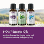 Buy now NOW Essential Oils, Rose Absolute, 5% Blend of Pure Rose Absolute Oil in Pure Jojoba Oil, Romantic Aromatherapy Scent, Vegan, Child Resistant Cap, 1-Ounce at indiglob india