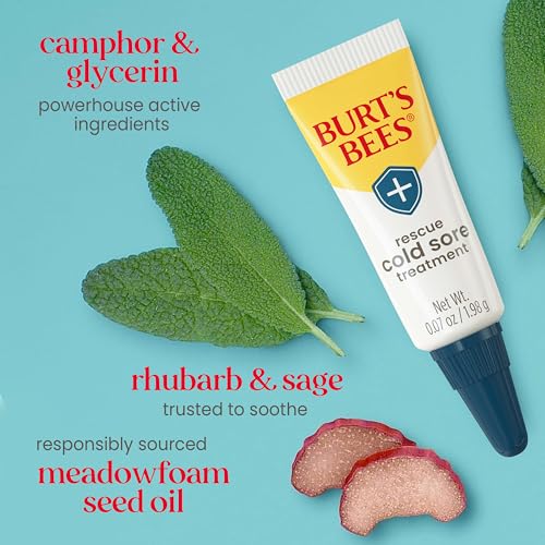 Buy now Burt's Bees Cold Sore Treatment and Medicated Lip Balm, With Menthol and Eucalyptus Oil, Natural Origin Skincare, 2 Tubes, 0.07 oz./0.15 oz. at indiglob india