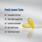 Nordic Naturals Complete Omega-3, w/EPA, DHA, & GLA, Lemon - 120 Softgels | 565mg Omega-3 per serving. Supports healthy skin, cognition & positive mood. Non-GMO. 60 servings per bottle.