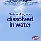 Buy now Clorox Concentrated Bleach Powder, 21.1 oz at indiglob india