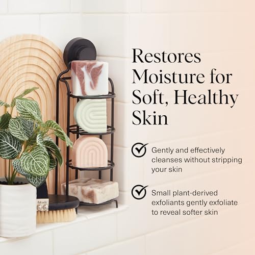 Buy now Kitsch Shea Butter Exfoliating Body Wash Bar â€“ Moisturizing Bar Soap & Gentle Soap Bar with Plant-Based Exfoliants â€“ Hydrates, Softens & Soothes Skin â€“ Paraben, Silicone & Sulfate-Free - 4 oz at indiglob india