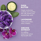 Buy now SheaMoisture Bath, Body and Massage Oil Lavender Wild Orchid Calming Moisturizer for Sensitive Skin 8 oz at indiglob india