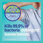 Buy now Clorox Fabric Sanitizer Aerosol Spray, Lavender Scent 14 Ounces at indiglob india
