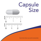 Now Foods Olive Leaf Extract 500mg Standardized to 6% Oleuropein, 120 Vcaps (2 Pack)