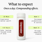 Graymatter Cognitive Support Powder - Nootropic Drink Mix, 3-Flavor Pack