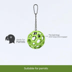 Buy now JW Pet Company Activitoys Hol-ee Roller Parrot Toy, 4 Inch Diameter (Colors Vary ) at indiglob india