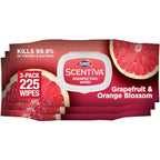 Buy now Clorox Scentiva Disinfecting Wipes, Grapefruit and Orange Blossom, 75 Ct., Pack of 3 (Pack May vary) at indiglob india
