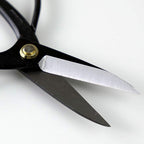 Buy now Wazakura Bonsai Scissors MADE IN JAPAN 7inch(180mm), Japanese Bonsai Garden Tools, Hasami Pruning Shears at indiglob india