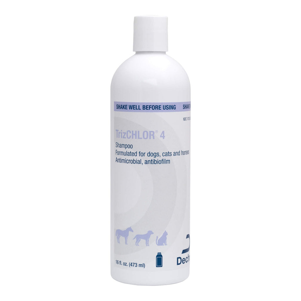 4 Shampoo for Dogs, Cats and Horses, 16 Ounce