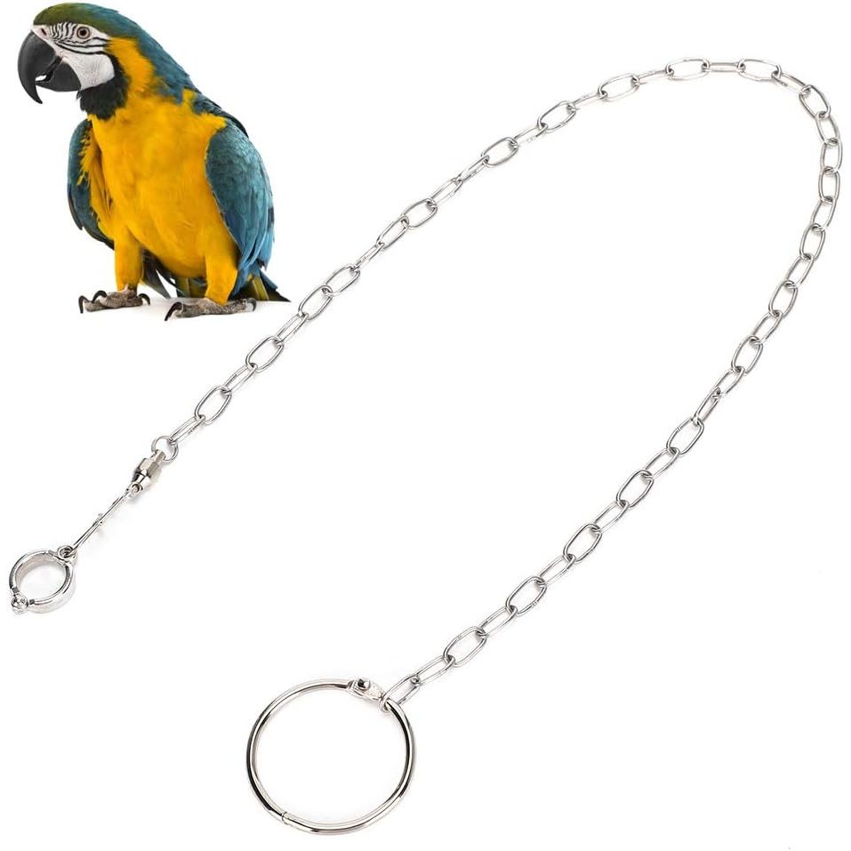 Buy now Rehomy Parrot Foot Chain, Stainless Steel Anti-bite Flying Training Anklet Ring Bird Harness for Parrots Macaw African Greys Parakeet Cockatoo Cockatiel Conure Lovebird Default at indiglob india